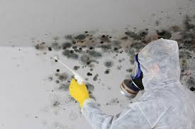 Best Airborne Mold Testing in North Braddock, PA